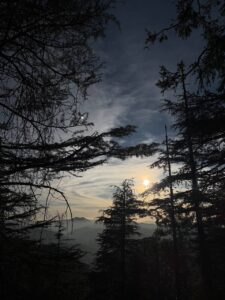 Sunset shot from the dense deodar forest near Kufri, Shimla